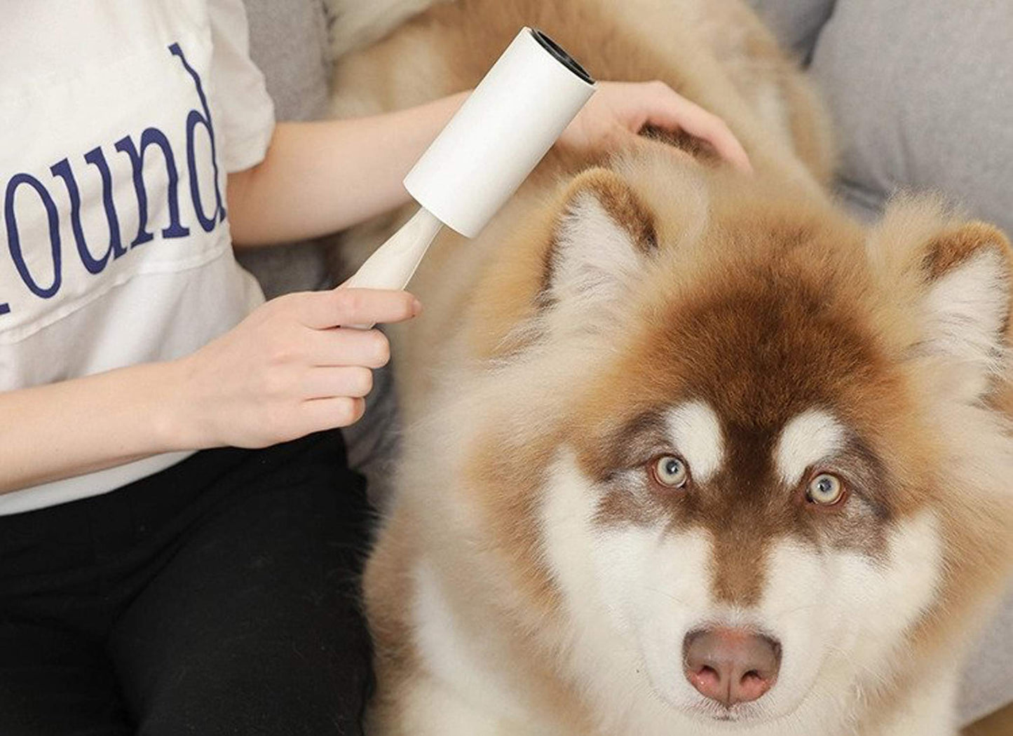 House of Quirk Lint Rollers Brush Reusable Sticky Picker Cleaner Roller Easy-Tear Sheets Travel Pet Hair Lint Roller 10cm Sheet Set of 3 Rolls 180 Sheets, 60 Sheets Each roll Lint Roller Remover.